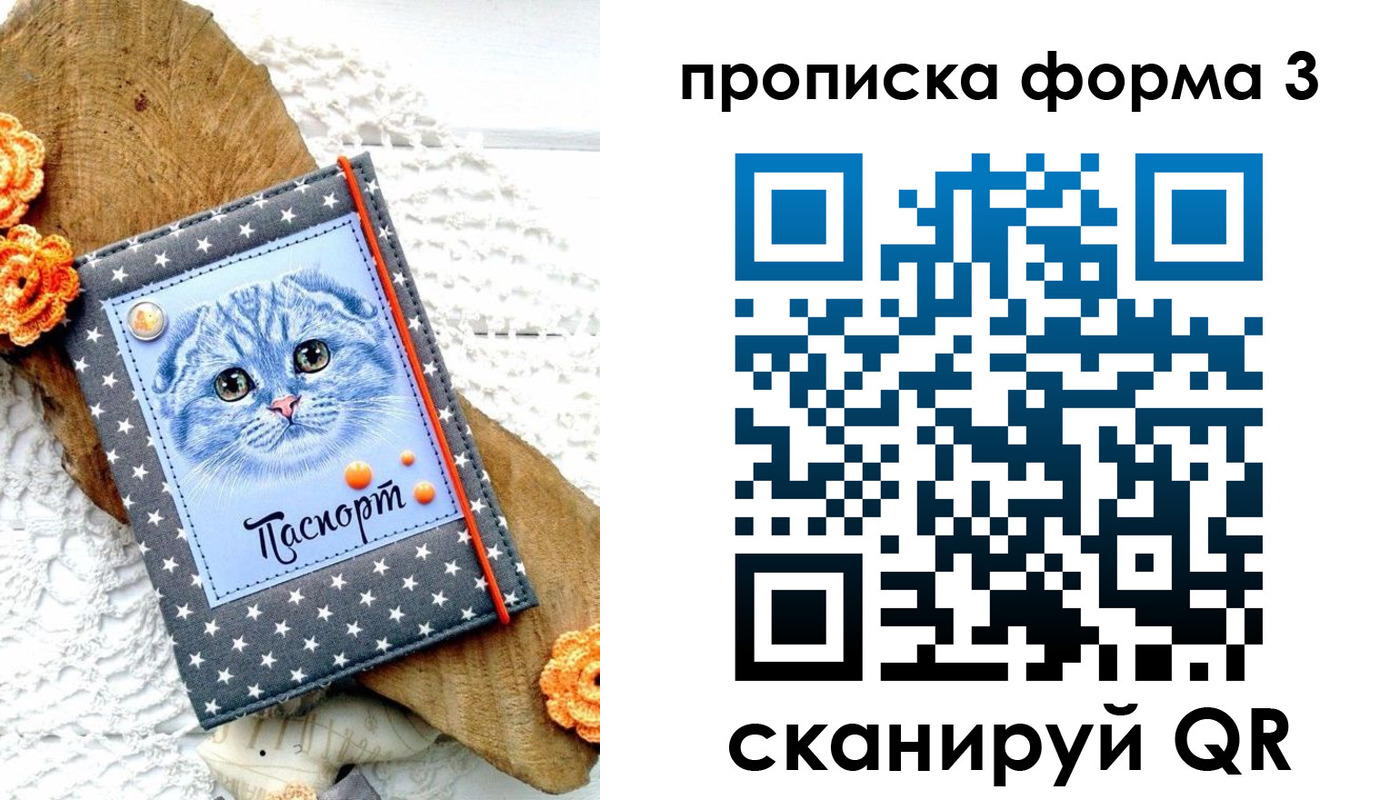 прописка поиск в Болотном